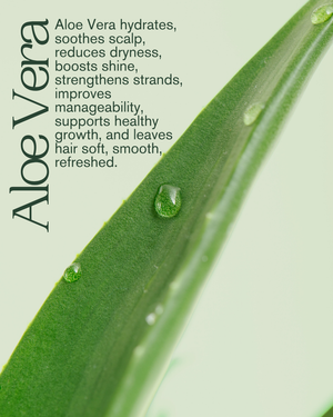 Aloe Vera & Paba Lotion 14 oz