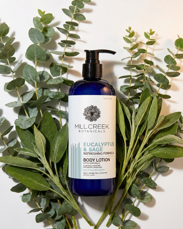 Eucalyptus & Sage Lotion 14 oz