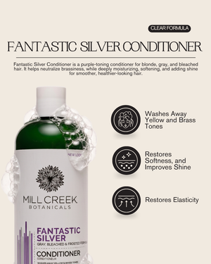 Fantastic Silver Conditioner 14 oz