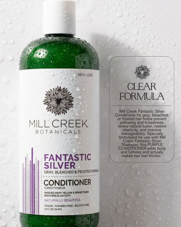 Fantastic Silver Conditioner 14 oz
