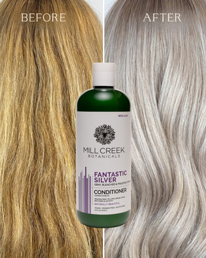 Fantastic Silver Conditioner 14 oz