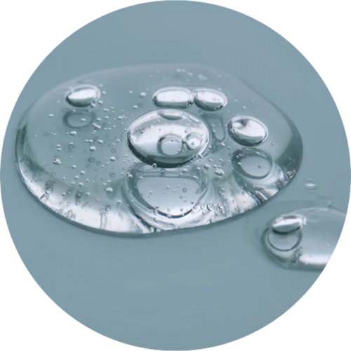 Hydrolyzed Elastin