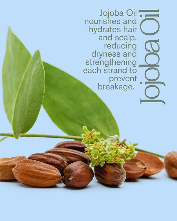 Jojoba Conditioner 14 oz