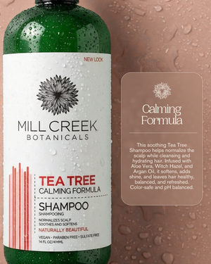Tea Tree Shampoo 14 oz