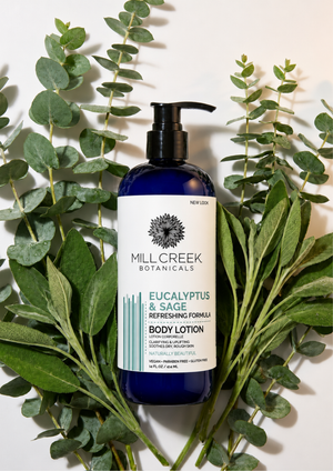 Eucalyptus & Sage Lotion 14 oz