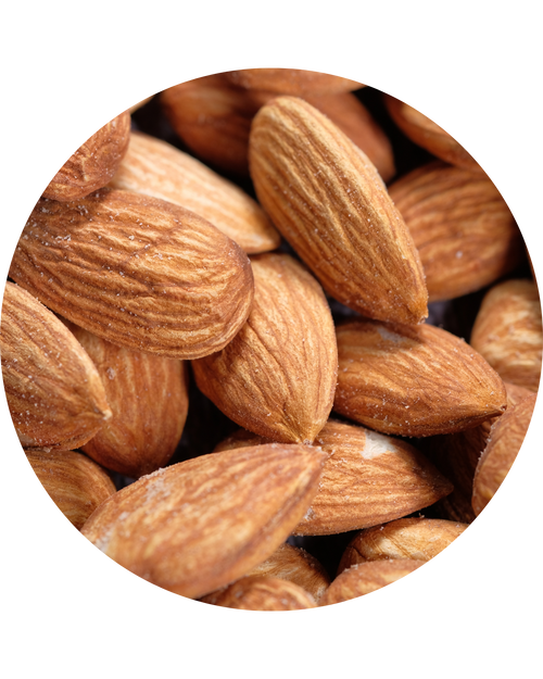 Almond Essential Oil