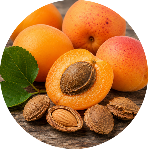 Apricot Kernel
