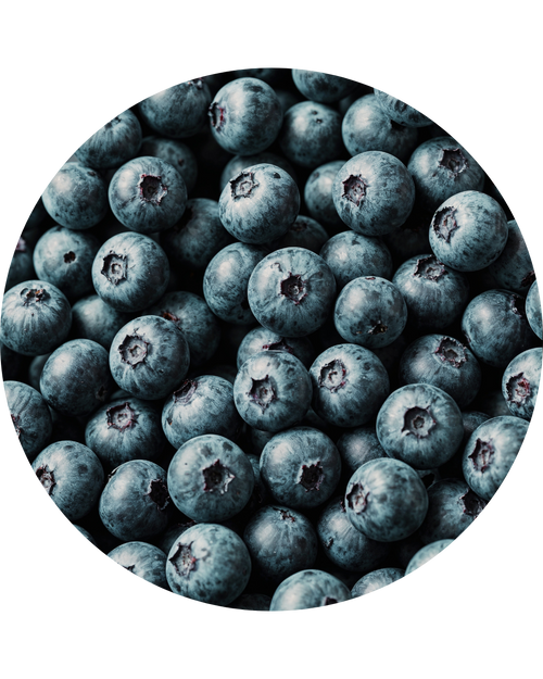 Blueberry Puree
