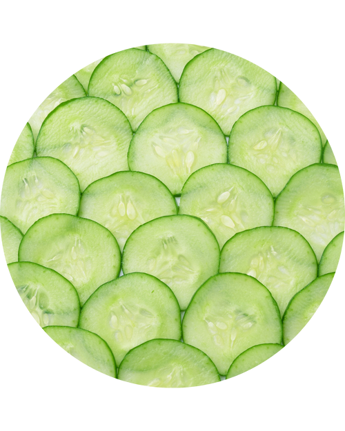 Cucumber Fruit Extract