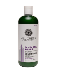 Fantastic Silver Conditioner 14 oz