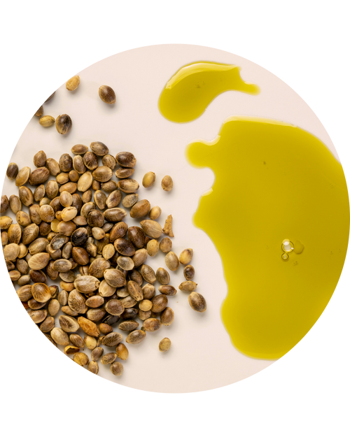 Hemp Seed Oil