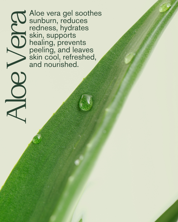 Aloe Vera & Paba Lotion 14 oz