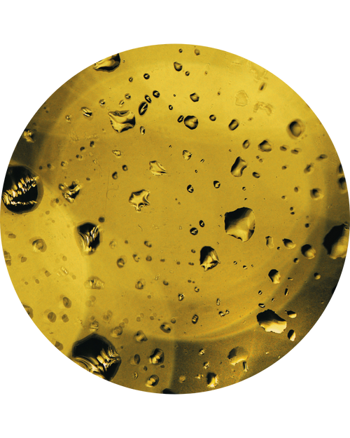 Jojoba Seed Oil