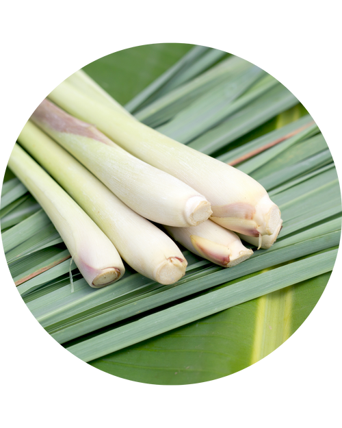 Lemongrass Oil